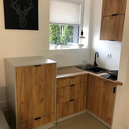Beskidski Apartament *