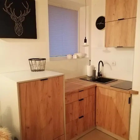 Apartament Beskidski *