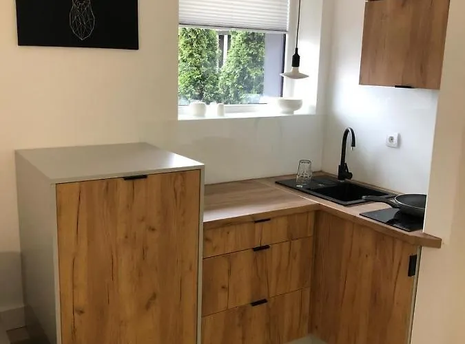 Beskidski דירה *